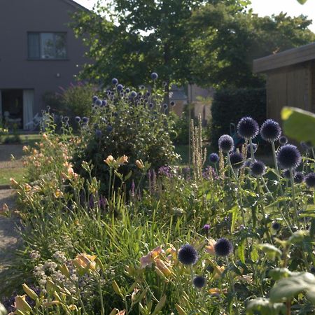 Barbara'S Bed & Breakfast Bed & Breakfast Sterrebeek ภายนอก รูปภาพ